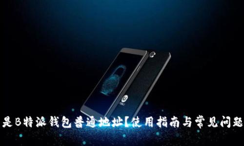 什么是B特派钱包普通地址？使用指南与常见问题解答