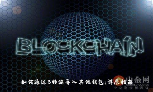 如何通过B特派导入其他钱包：详尽指南