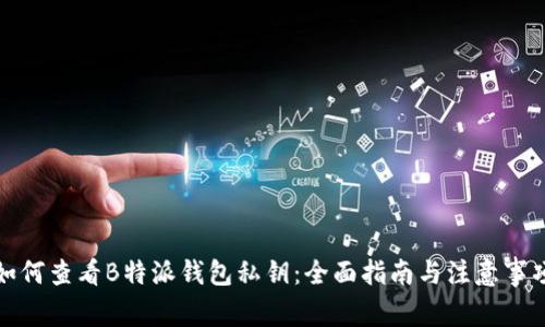 如何查看B特派钱包私钥：全面指南与注意事项