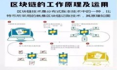 如何使用B特派进行联网操作的详细指南