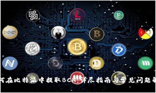 如何在比特派中提取BCH：详尽指南与常见问题解答