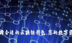 如何选择合适的区块链钱包，您的数字资产管理