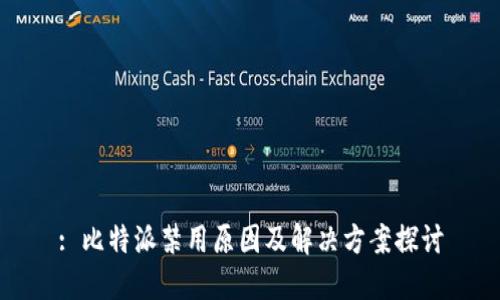 : 比特派禁用原因及解决方案探讨