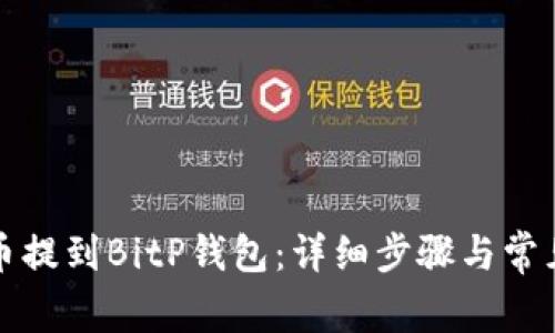 如何将货币提到BitP钱包：详细步骤与常见问题解答