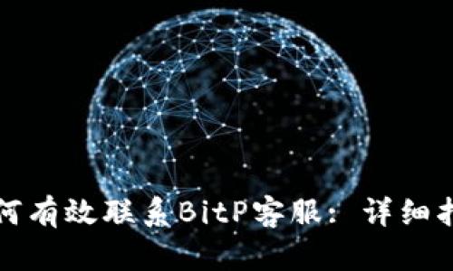 如何有效联系BitP客服: 详细指南