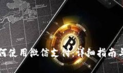 比特派钱包如何使用微信支付：详细指南与常见