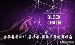全面解析BitP：其功能、优缺点及使用指南