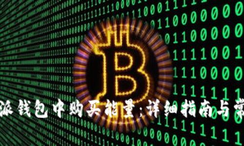 如何在比特派钱包中购买能量：详细指南与常见问题解答