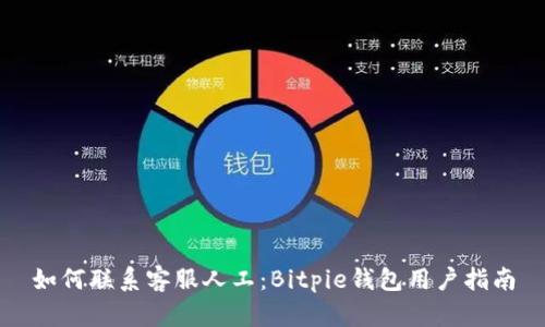 如何联系客服人工：Bitpie钱包用户指南