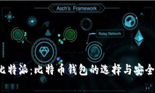 了解比特派：比特币钱包的选择与安全性分析