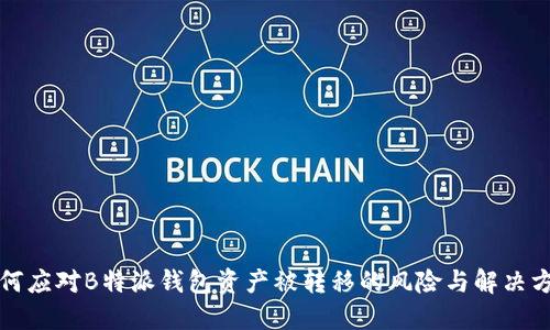 如何应对B特派钱包资产被转移的风险与解决方案