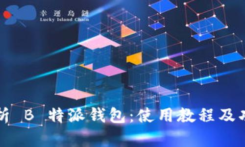 全面解析 B 特派钱包：使用教程及功能介绍