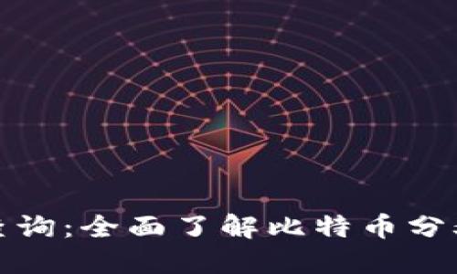 比特派分叉查询：全面了解比特币分叉历史与影响