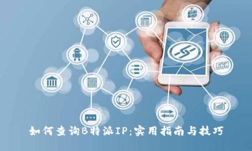 如何查询B特派IP：实用指南与技巧