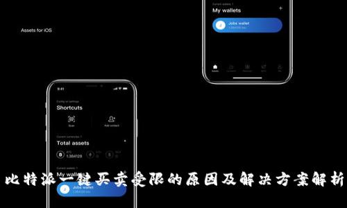 比特派一键买卖受限的原因及解决方案解析