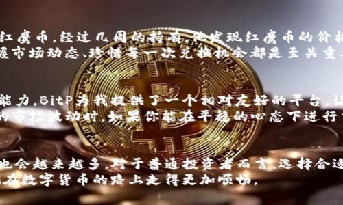 \如何通过BitP红鹰币实现高效兑换：用户全方位指南/\  
\guanjianciBitP, 红鹰币, 兑换流程, 数字货币, 投资收益/\guanjianci  

什么是BitP以及红鹰币?  
BitP是一种新兴的数字货币平台，拥有其独特的加密货币——红鹰币（BITC）。在全球范围内，数字货币产业迅速发展，BitP以其创新性的生态系统和便捷的兑换流程，吸引了越来越多的投资者。很多人对数字货币有着浓厚的兴趣，但又不清楚如何进行有效的兑换和投资，而这正是本文所要探讨的主题。  

BitP的优势  
在众多数字货币平台中，BitP凭借其高效的交易系统和安全的保障措施脱颖而出。首先，其交易费用相对较低，这对初次进入数字货币市场的投资者无疑是个利好消息。其次，BitP提供多样化的交易对，用户可以灵活选择想要兑换的虚拟货币，满足不同投资者的需求。  

红鹰币（BITC）的功能与潜力  
红鹰币是BitP平台的核心代币，具有多种实用性。用户不仅可以使用红鹰币进行交易，还可以通过持有红鹰币参与平台的收益分配。当前许多用户已经发现，持有红鹰币能够帮助他们在市场波动时获得额外的收益。这一点，对于想要在数字货币市场获利的投资者尤为重要。  

BitP的兑换流程详解  
为了让更多的用户了解如何在BitP进行兑换，下面将详细介绍整个兑换流程。首先，用户需要注册并开设一个BitP账户。这一过程简单快捷，只需提供必要的个人信息并完成身份验证。此外，为确保账户安全，用户最好启用两步验证功能。  
注册完成后，用户可以通过多种方式为账户充值，比如银行转账、信用卡或其他数字货币。在充值成功后，用户可以开始选择想要兑换的币种。例如，想要将主流币种比特币（BTC）兑换为红鹰币，可以直接在BitP平台的交易界面进行选择并输入兑换数量。  
此外，用户在兑换时需注意市场行情，合理选择兑换时机。市场波动是数字货币交易的常态，而及时把握兑换机会则可以获得更好的收益。此时，用户可以参考BitP提供的实时行情数据和技术分析工具，为自身的交易决策提供有力支持。  

实际案例分享  
在实际操作中，有用户通过BitP成功进行了一次红鹰币的兑换。彼时，比特币的价格正在上涨，用户在最佳兑换时机抓住了机会，成功将其BTC兑换为红鹰币。经过几周的持有，他发现红鹰币的价格也随之上涨，最终获得了可观的利润。  
这位用户在分享经验时提到，他特别重视市场分析与趋势判断，通过BitP提供的实时数据，无疑增强了他的决策信心。因此，不论是新手还是老手，掌握市场动态、珍惜每一次兑换机会都是至关重要的。  

个人经验总结与见解  
在参与BitP的交易过程中，我逐渐认识到数字货币的魅力与风险并存。特别是对许多新手而言，进入这个行业不仅需要勇气，更需要良好的市场洞察能力。BitP为我提供了一个相对友好的平台，让我在较低的费用和便捷的操作中轻松完成兑换。《会员管理》一书中提到的“投资回报率”这个概念，确实可以很好地反映出数字货币的潜在收益。  
然而，市场的变动性也是不可小觑的。在任何交易之前，我会进行比较全面的市场分析，避免盲目跟风追涨。我努力保持自己的冷静，尤其在面对频繁的市场波动时。如果你能在平稳的心态下进行交易，而不是被市场情绪所左右，成功的几率将会提高。  

未来展望：BitP与红鹰币  
随着区块链技术的不断成熟，未来的数字货币市场将会更加丰富多彩。BitP作为一个具有潜力的平台，有望逐渐扩大市场份额，而红鹰币的应用场景也会越来越多。对于普通投资者而言，选择合适的时间和策略，参与到BitP的生态中，必将为未来的投资带来更多的机遇。  
总之，BitP的兑换过程不仅是简单的货币转换，更是一次资产的增值之旅。希望通过这篇文章，能帮助到那些对BitP和红鹰币感兴趣的用户，帮助他们在数字货币的路上走得更加顺畅。