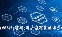 如何找回Bitp密码：用户应对策略与步骤详解