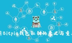 解析Bitpie钱包私钥的意义与重要性