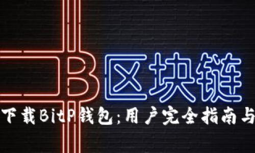 如何安全下载BitP钱包：用户完全指南与注意事项