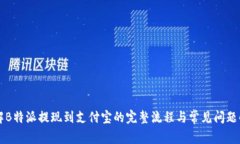 详解B特派提现到支付宝的完整流程与常见问题解