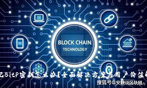 忘记BitP密钥怎么办？全面解决方案与用户价值解析