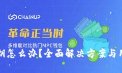 忘记BitP密钥怎么办？全面解决方案与用户价值解