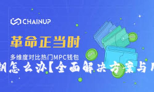 忘记BitP密钥怎么办？全面解决方案与用户价值解析