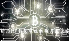 深入解析：BitP钱包审核机制与用户安全保障