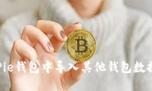 如何在BitPie钱包中导入其他钱包数据：全面指南