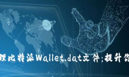 如何安全有效地管理比特派Wallet.dat文件：提升你的加密资产安全性