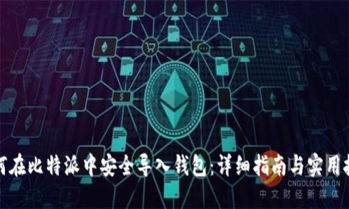 如何在比特派中安全导入钱包：详细指南与实用技巧