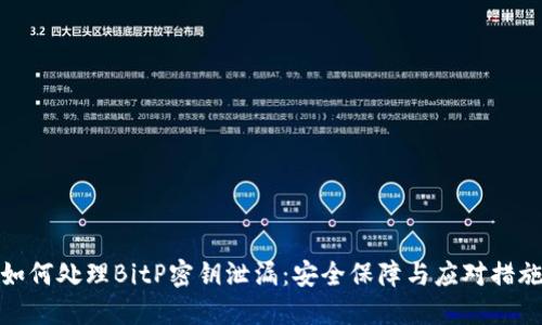 如何处理BitP密钥泄漏：安全保障与应对措施