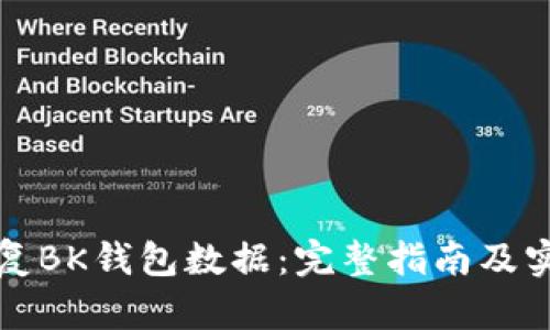 如何恢复BK钱包数据：完整指南及实用技巧