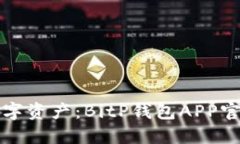 轻松安全管理数字资产：BitP钱包APP官方下载安装