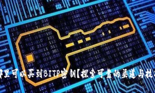 哪里可以买到BITP密钥？探索可靠的渠道与技巧