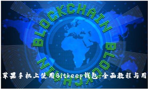 如何在苹果手机上使用Bitkeep钱包：全面教程与用户指南