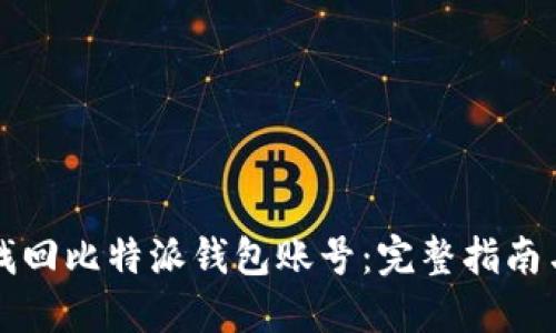 如何快速找回比特派钱包账号：完整指南与经验分享