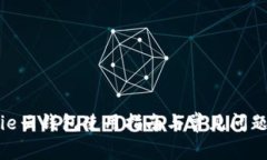 Bitpie云钱包使用指南与常见问题解答