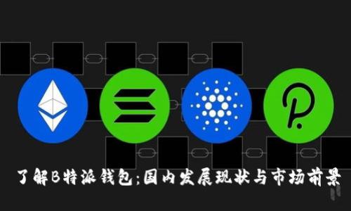 了解B特派钱包：国内发展现状与市场前景