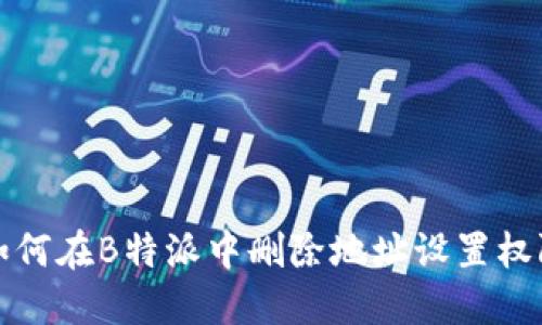 如何在B特派中删除地址设置权限