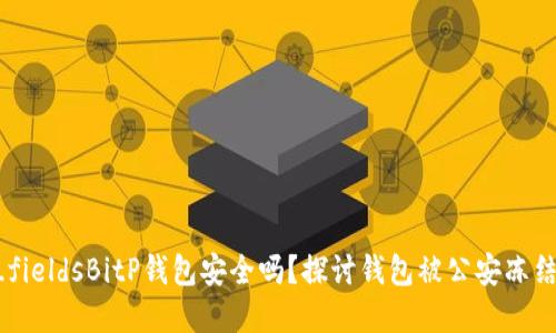 implicit_fieldsBitP钱包安全吗？探讨钱包被公安冻结的可能性