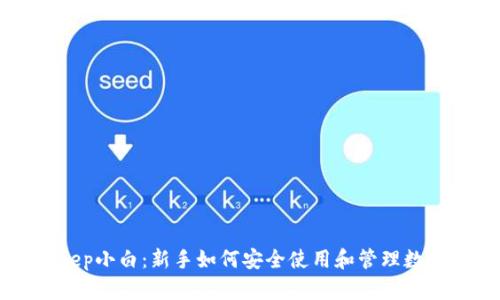 BitKeep小白：新手如何安全使用和管理数字资产