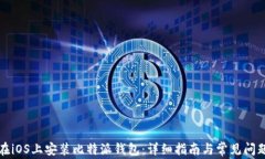 如何在iOS上安装比特派钱包：详细指南与常见问