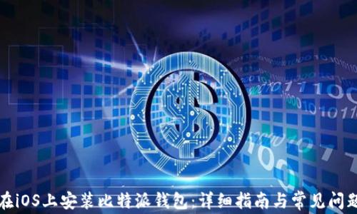 
如何在iOS上安装比特派钱包：详细指南与常见问题解答