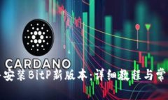如何下载并安装BitP新版本：详细教程与常见问题