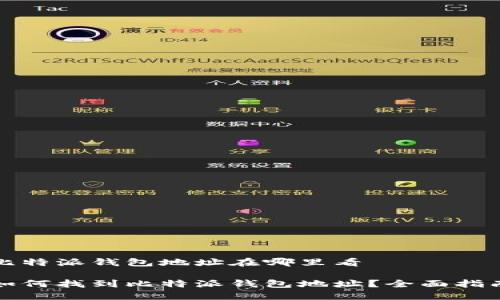 比特派钱包地址在哪里看

如何找到比特派钱包地址？全面指南