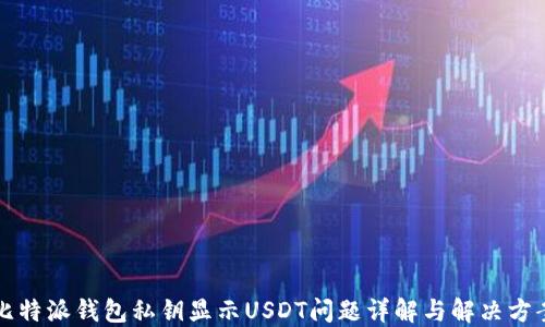 
比特派钱包私钥显示USDT问题详解与解决方案