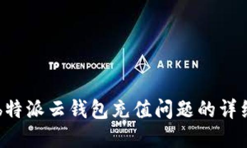 关于b特派云钱包充值问题的详细解答