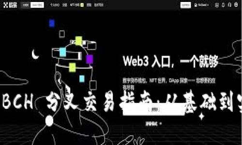 比特派 BCH 分叉交易指南：从基础到实际操作