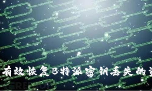 如何有效恢复B特派密钥丢失的资金？